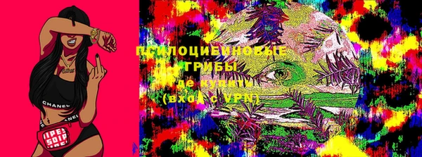 соль ск Кинешма