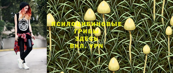 соль ск Кинешма