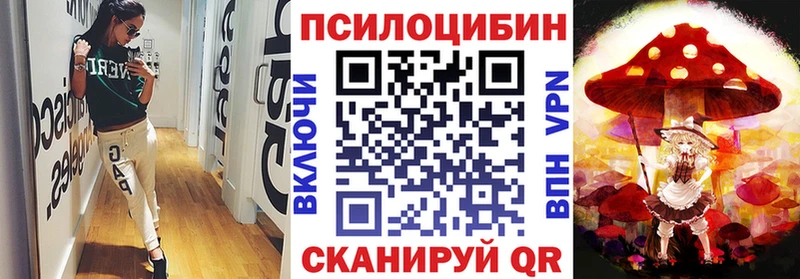 Купить Черемхово Галлюциногенные грибы MAGIC MUSHROOMS